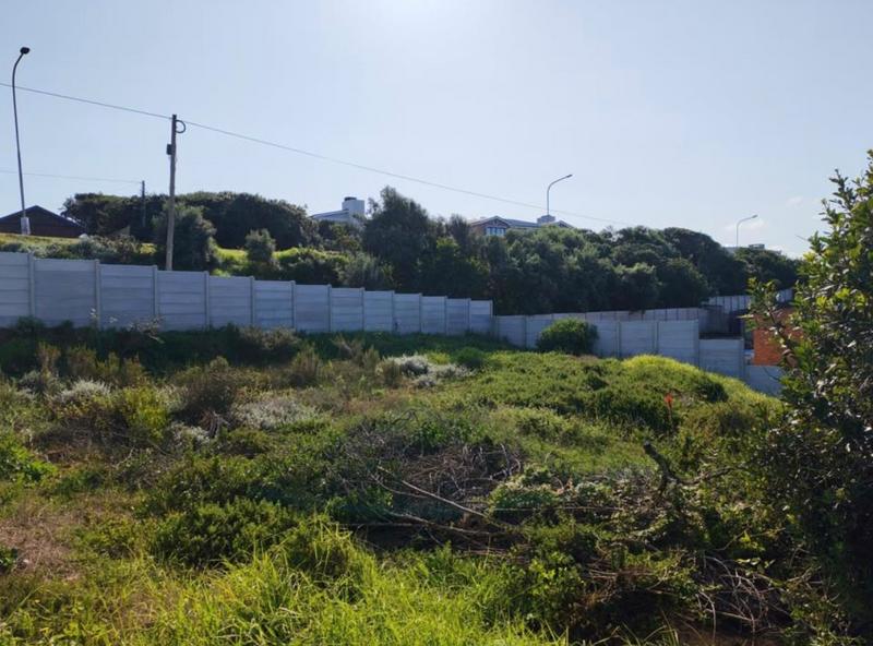 0 Bedroom Property for Sale in Tergniet Western Cape
